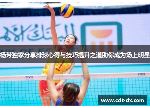 杨芳独家分享排球心得与技巧提升之道助你成为场上明星