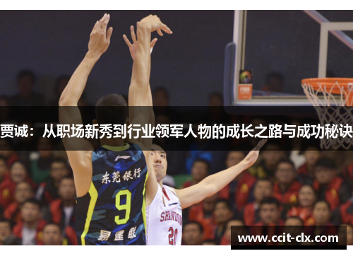贾诚：从职场新秀到行业领军人物的成长之路与成功秘诀