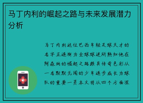 马丁内利的崛起之路与未来发展潜力分析